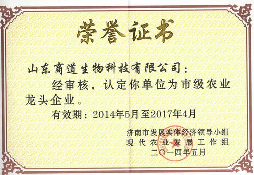 榮譽資質(zhì)